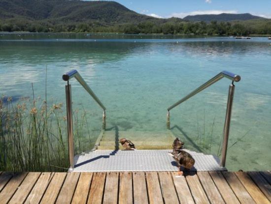 Camping Bungalow El Llac De Banyoles Porqueres 외부 사진