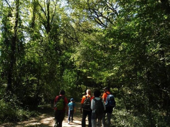 Camping Bungalow El Llac De Banyoles Porqueres 외부 사진