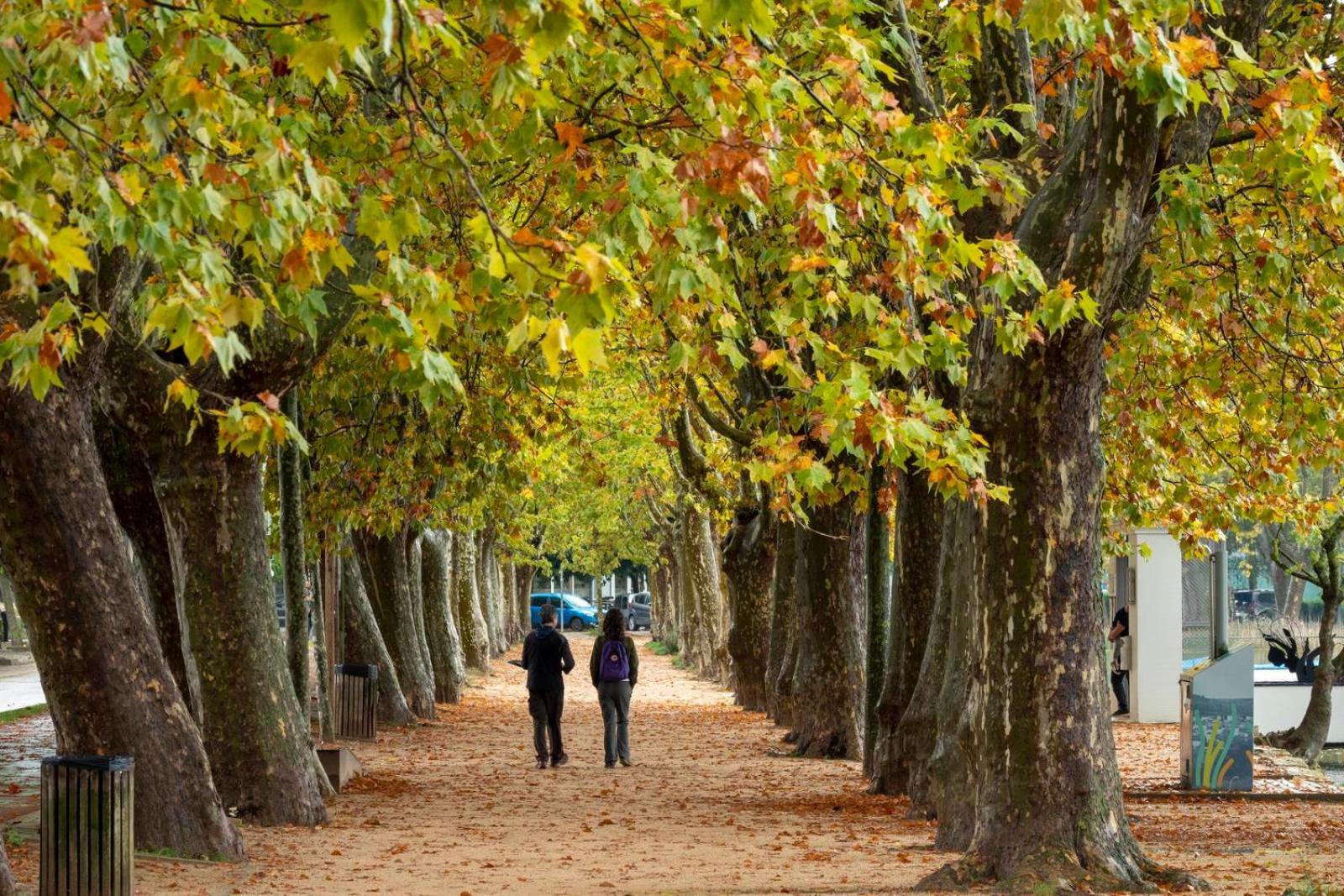 Camping Bungalow El Llac De Banyoles Porqueres 외부 사진